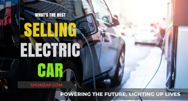Top Electric Car Sales: Which EV Dominates the Global Market?