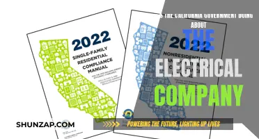 California's Action Plan Against Electrical Companies