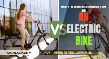 E-Bikes and Electric Bikes: What's the Real Difference?