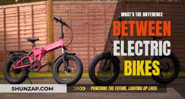 Electric Bikes: Unlocking Their Unique Features and Differences