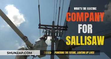 Sallisaw's Electric Power: Unlocking the Future of Energy