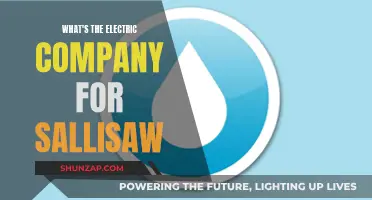 Electric Company Options for Sallisaw: Who Powers the City?