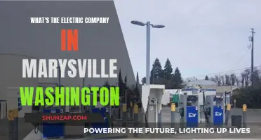 Electric Company Options in Marysville, Washington