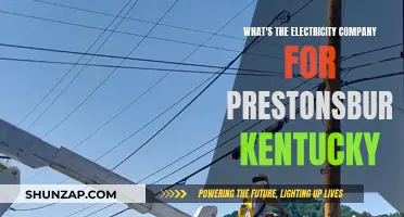 Electricity Company Serving Prestonsburg, Kentucky: Who Are They?