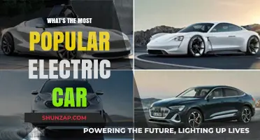 Top Electric Car Models Dominating the Global Market Today