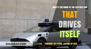 Self-Driving Electric Car Names: Unveiling the Autonomous Revolution