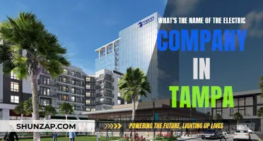 Unveiling Tampa's Electric Power: The Company's Name Revealed