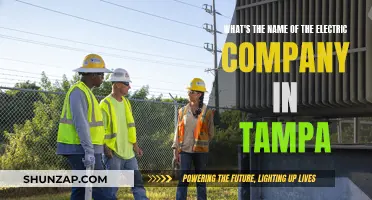 Tampa's Electric Company: Who Powers the City?