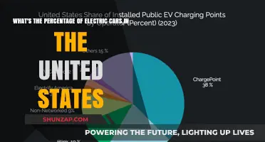 Electric Cars in the US: Current Market Share Percentage Revealed