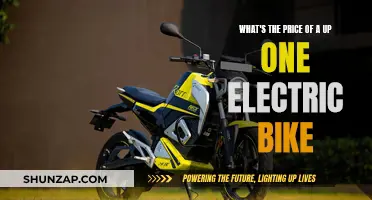 Up One Electric Bike: How Much Does It Cost?