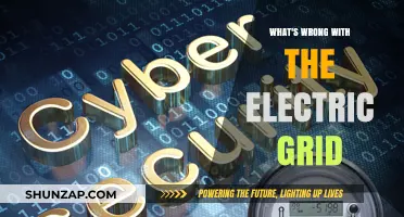 Electric Grid: Antiquated and Vulnerable