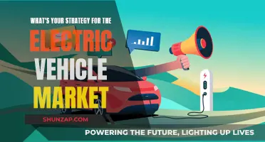 Unleashing Potential: Strategies for Dominating the Electric Vehicle Revolution