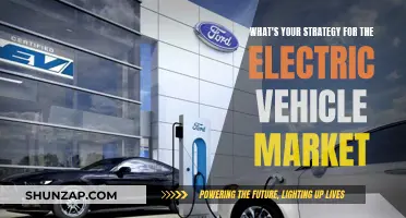 Strategies for Success in the Electric Vehicle Market