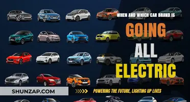 Which Car Brands Are Going All-Electric and When Will They Shift?