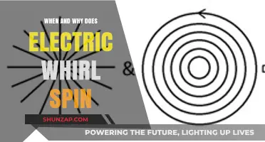 Electric Whirl Spin: Understanding the Dynamic Motion