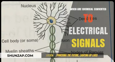 How Chemicals Transform into Electrical Signals