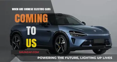 Chinese Electric Cars: US Arrival Timeline and What to Expect