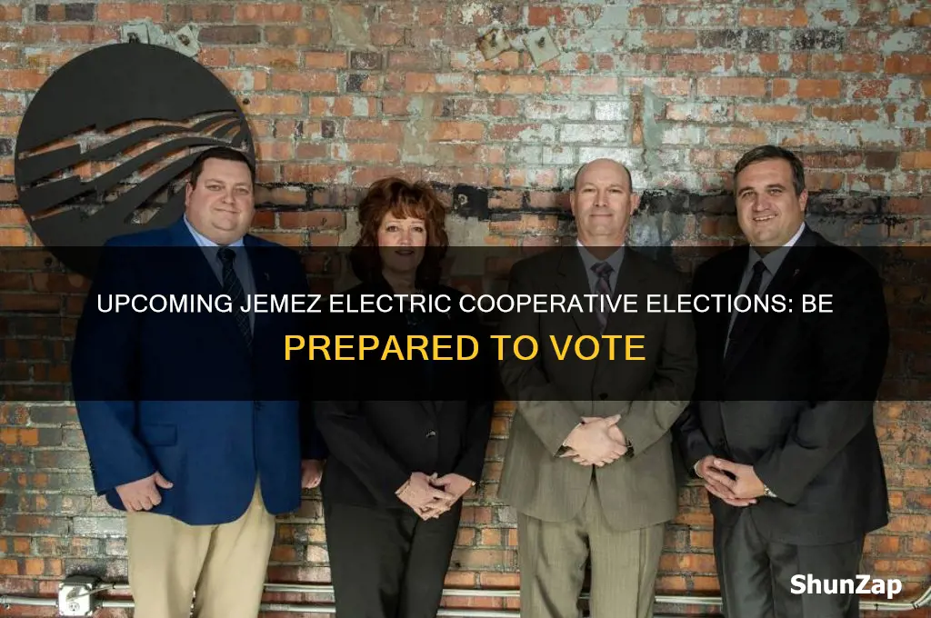 when are elections for jemez electric cooperative