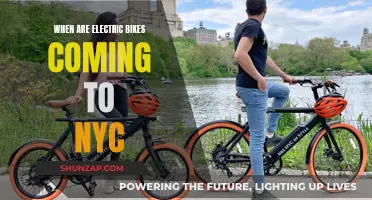 Electric Bikes in NYC: When and Where to Expect Them