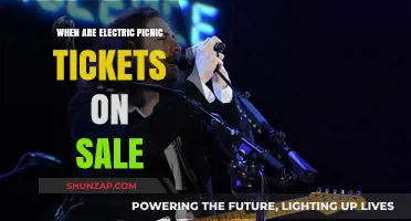 Electric Picnic Tickets: On Sale Soon!