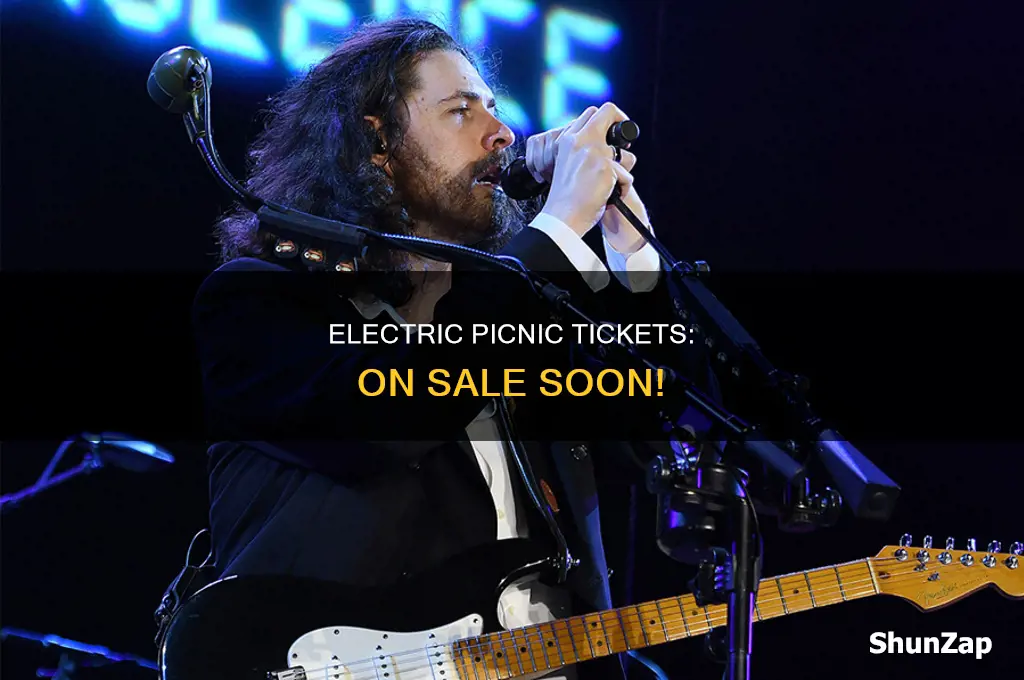 when are electric picnic tickets on sale