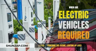 The Future of Electric Vehicles: When Will They Be Mandatory?