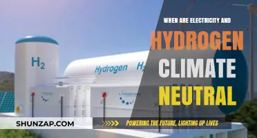 How Electricity and Hydrogen Can Achieve Climate Neutrality