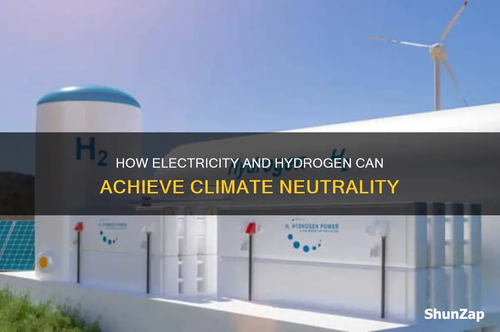 when are electricity and hydrogen climate neutral