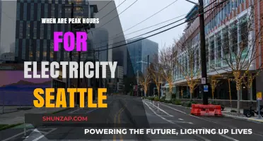 Seattle Electricity: Understanding Peak Hours and Rates