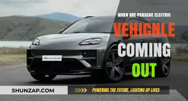 Porsche's Electric Future: When to Expect Them?