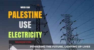 Palestine's Power Struggle: When Will Electricity Access Be Fully Restored?