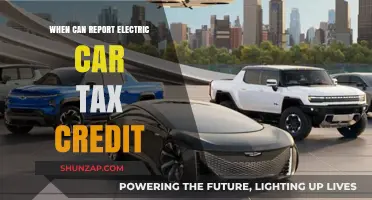 When Can You Claim the Electric Car Tax Credit?