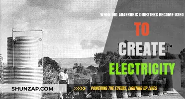 Anaerobic Digesters: A Historical Shift to Electricity Generation