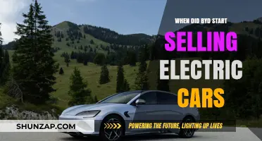 BYD's Electric Car Journey: A Timeline of Innovation and Sales