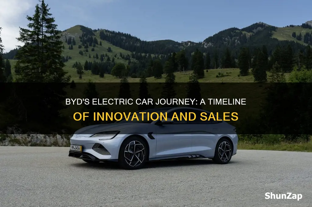 when did byd start selling electric cars