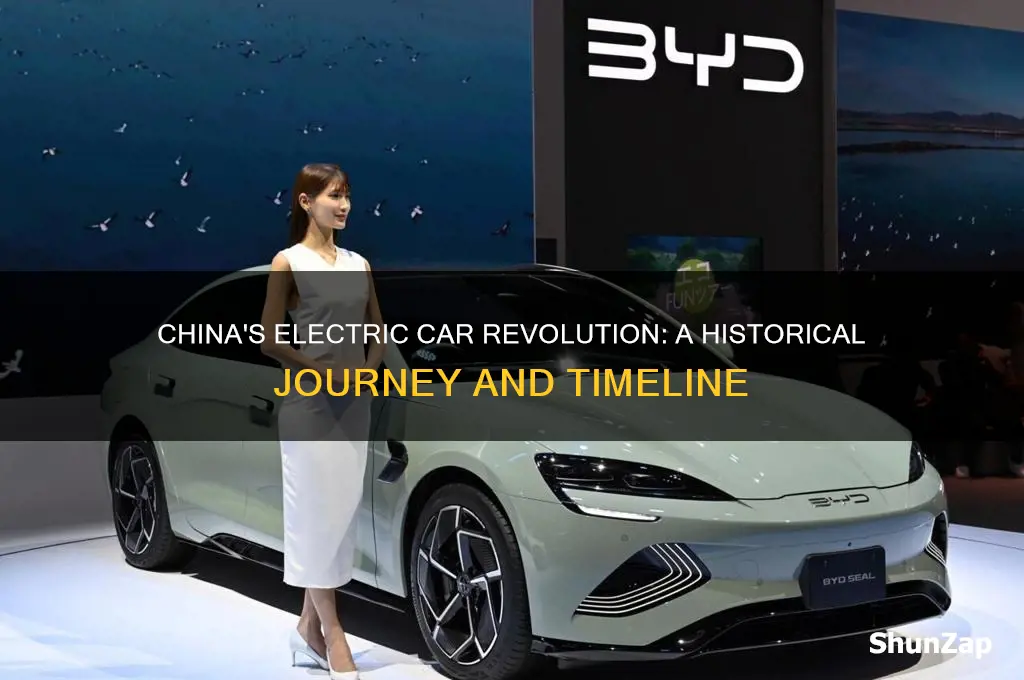 when did china start making electric cars