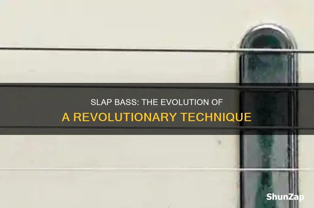 when did electric bass slapping become popular