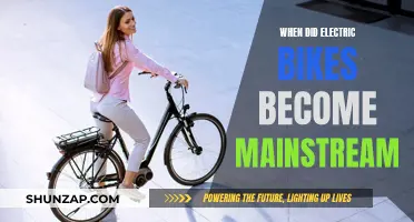 Electric Bikes: From Niche to Mainstream