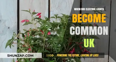 Electric Lights: The UK's Historical Shift to Illumination