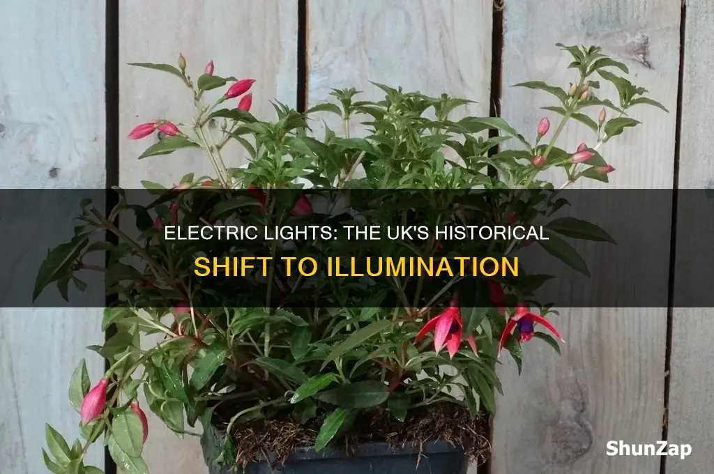 when did electric lights become common uk