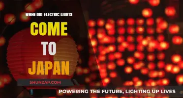 Electric Lights in Japan: A Historical Perspective
