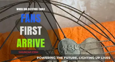 The Electric Fan's Arrival: A Historical Overview