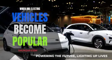 The Rise of Electric Vehicles: A Historical Perspective