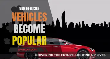 The Rise of Electric Vehicles: From Niche to Mainstream