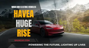 The Rise of Electric Vehicles: From Niche to Mainstream