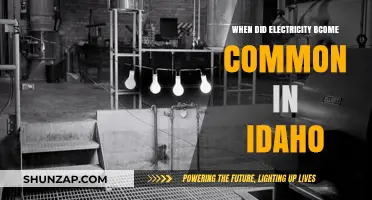 Electricity in Idaho: A Historical Perspective