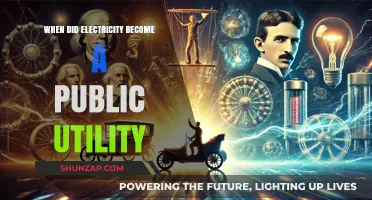Electricity's Evolution: From Luxury to Public Utility