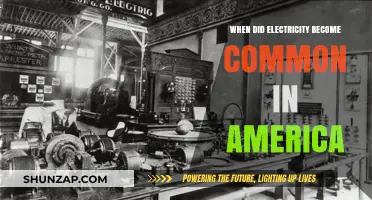 Electricity's Arrival in America: A Historical Perspective