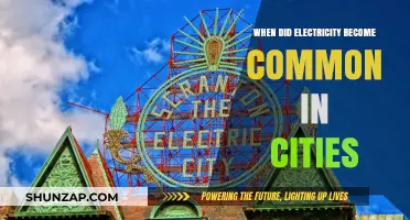 Electricity in Cities: A Historical Perspective