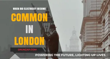 Electricity in London: A Historical Perspective